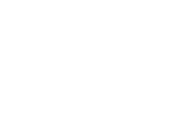Single Speed or Fixie bike